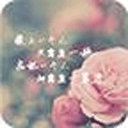 3D花语桌面app