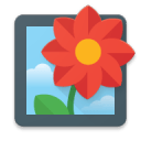 Zyden壁纸包app