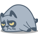 懒猫背单词app_懒猫背单词appios版_懒猫背单词app手机版