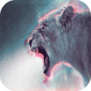 时髦壁纸app_时髦壁纸appapp下载_时髦壁纸app小游戏