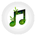 我的放松音乐app_我的放松音乐app攻略_我的放松音乐app手机版