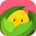 美柚孕期app下载_美柚孕期app下载官方正版_美柚孕期app下载最新版下载