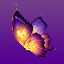蝴蝶直播app_蝴蝶直播app最新官方版 V1.0.8.2下载 _蝴蝶直播app中文版下载