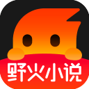 野火小说下载_野火小说下载最新版下载_野火小说下载官方版