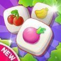 瓷砖猫大师红包版下载_瓷砖猫大师红包版手机app下载v1.0.8