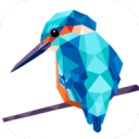 以数色形app_以数色形app积分版_以数色形appios版