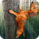 野蛮腊肠犬app_野蛮腊肠犬app下载_野蛮腊肠犬app中文版