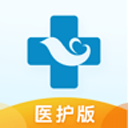 掌上浙一医护版app