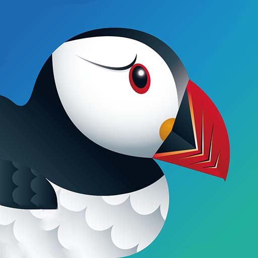 puffin浏览器官网版下载-puffin浏览器官网最新版下载v9.0.0.50263