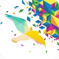 一个奇鸽新体验最新版本下载