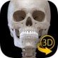 3d骨骼软件下载_3d骨骼软件下载最新官方版 V1.0.8.2下载 _3d骨骼软件下载官方正版