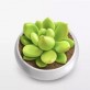 绿小植下载_绿小植下载最新官方版 V1.0.8.2下载 _绿小植下载官方正版