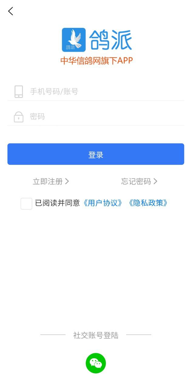 鸽派