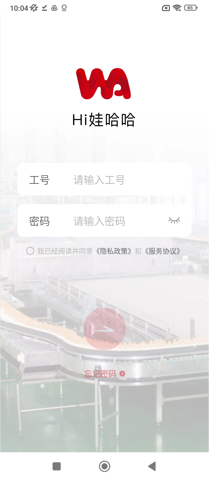 hi娃哈哈