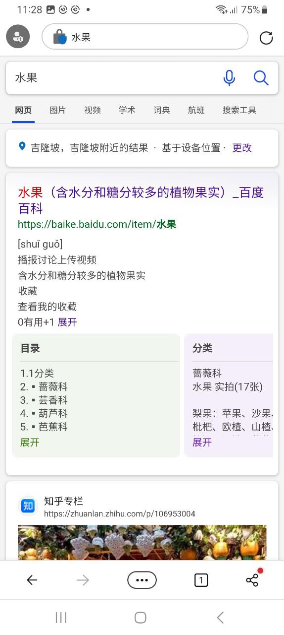 edge浏览器