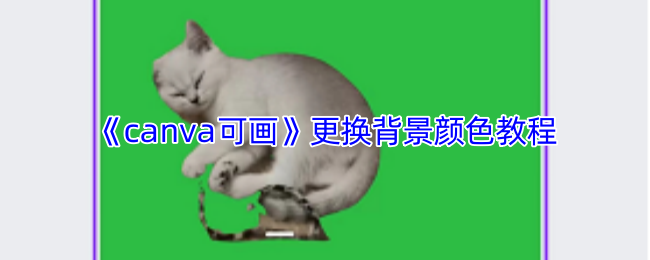 《Canva 可画》更改背景色的详细指南