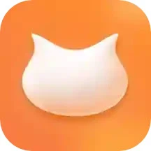 飞猫盘应用