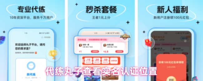 《代练丸子》代练丸子实名认证位置查询指南