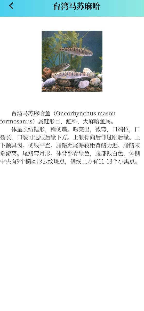 潮汐精灵安卓版
