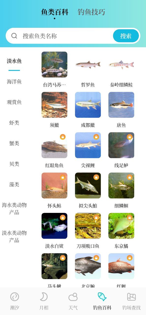 潮汐精灵安卓版