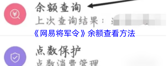 《网易将军令》余额查询技巧与方法