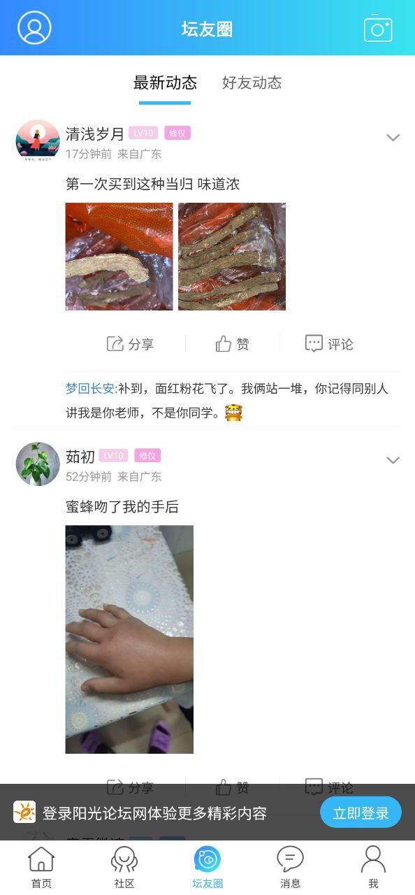 阳光论坛网手机版