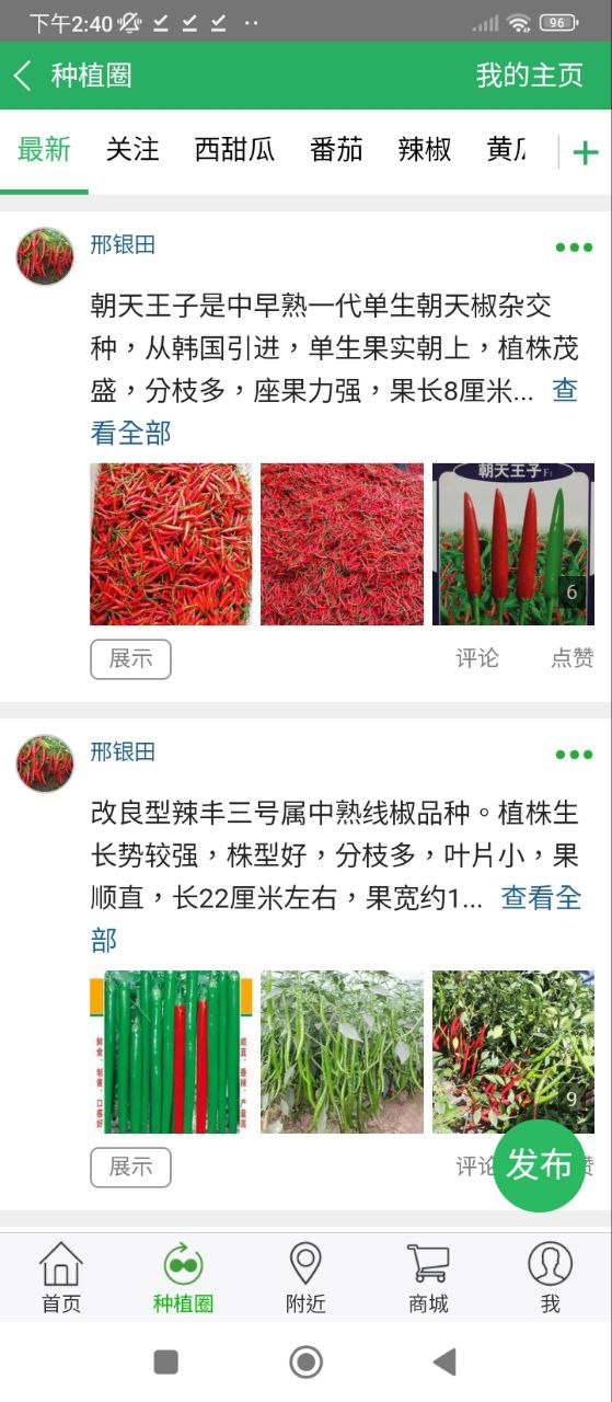 种子库下载安装