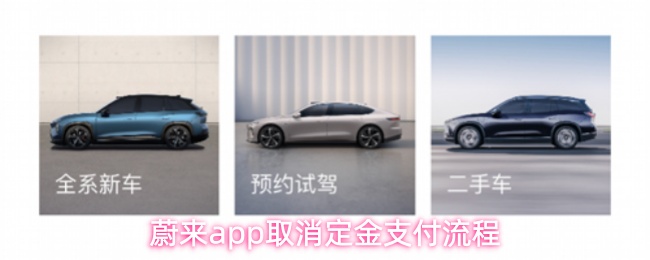 《蔚来》蔚来PP终止定金支付步骤解析