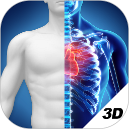 3D人体解剖图谱免费下载