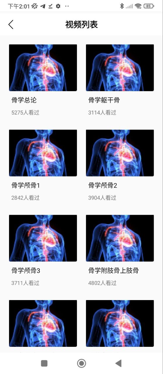 3D人体解剖图谱免费下载