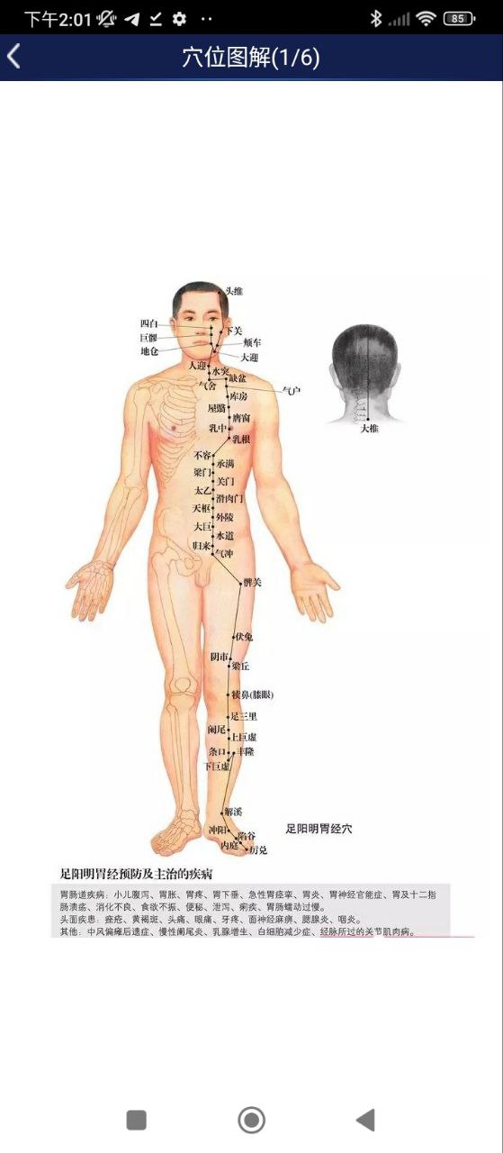 3D人体解剖图谱免费下载
