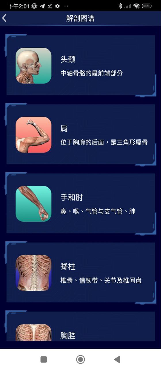 3D人体解剖图谱免费下载