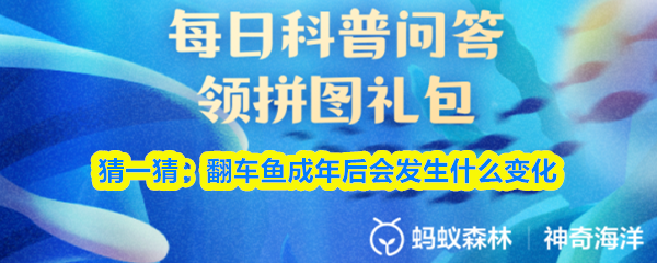 《支付宝》翻车鱼成年后的变化揭秘